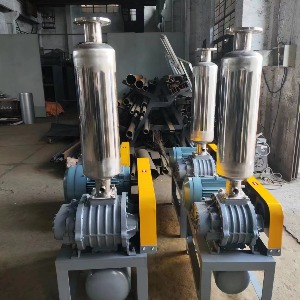 不銹鋼羅茨風(fēng)機